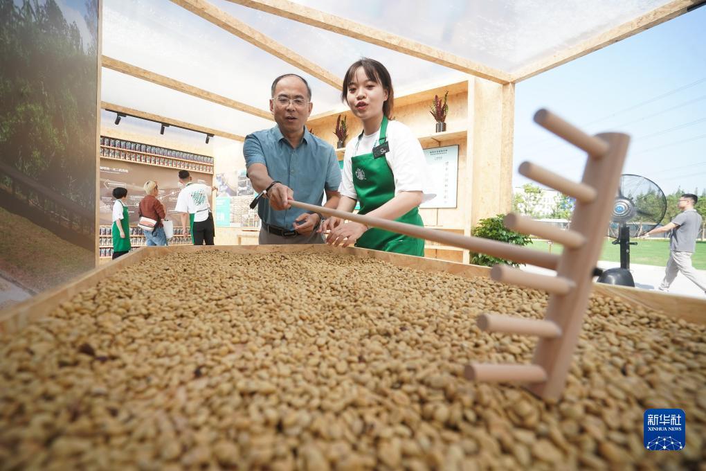菠菜技术论坛